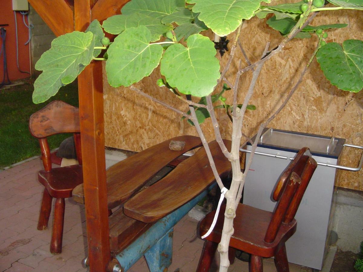 Karavan Štúrovo Extérieur photo